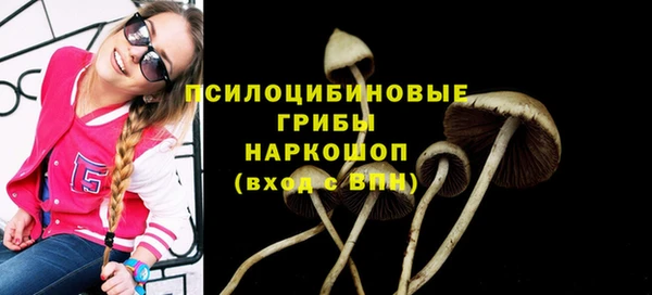 амф Алзамай