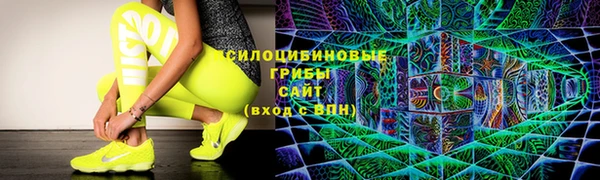 твердый Алексин