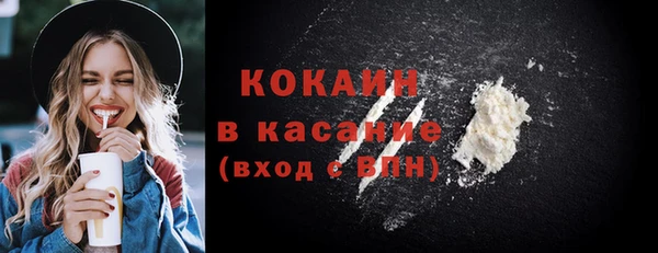 твердый Алексин